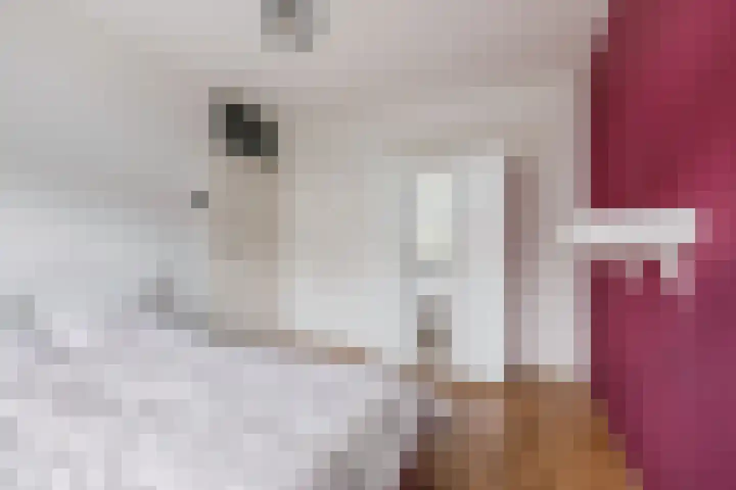 Arendshorst 34 Leiden thumbnail 16