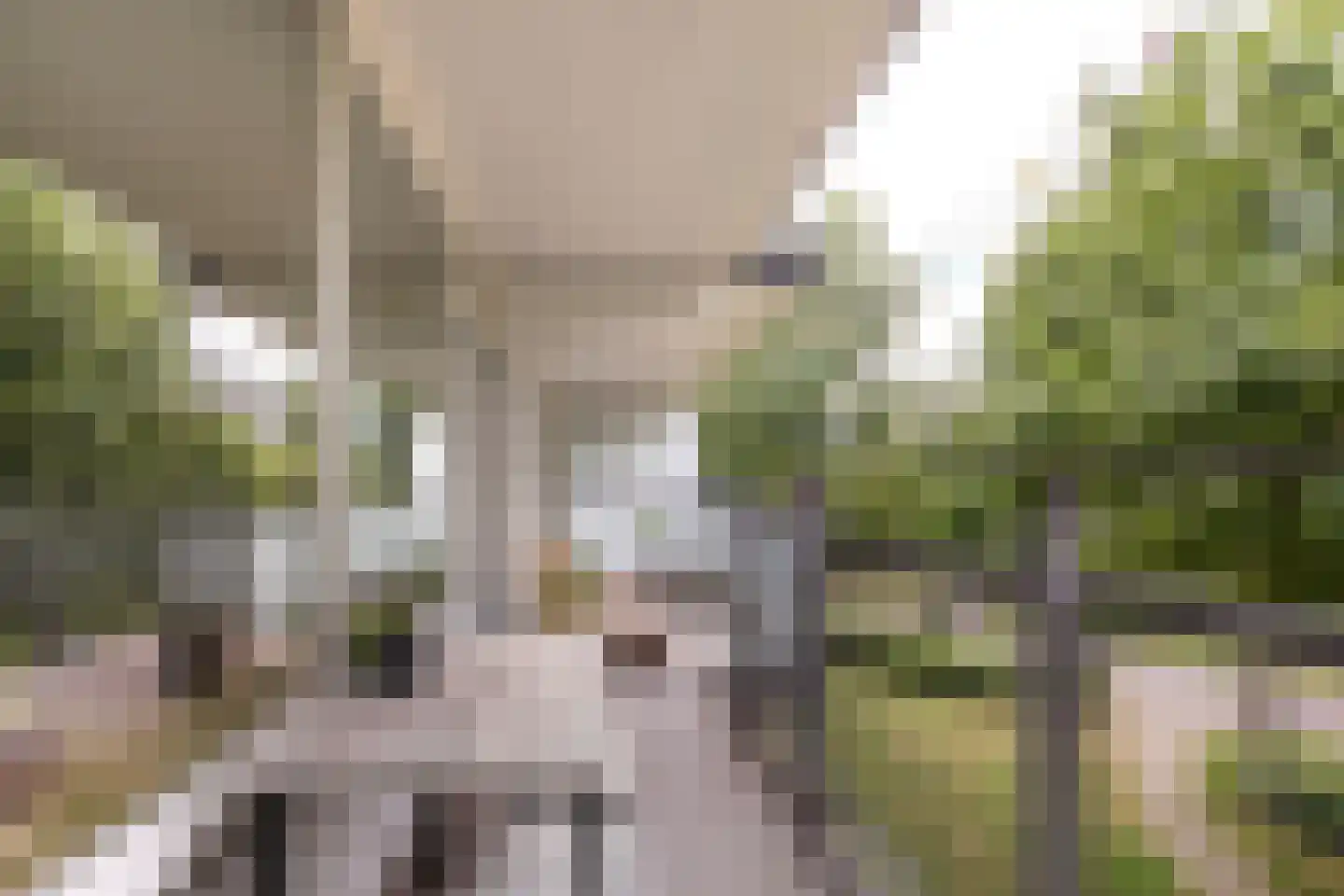 Arendshorst 34 Leiden thumbnail 23