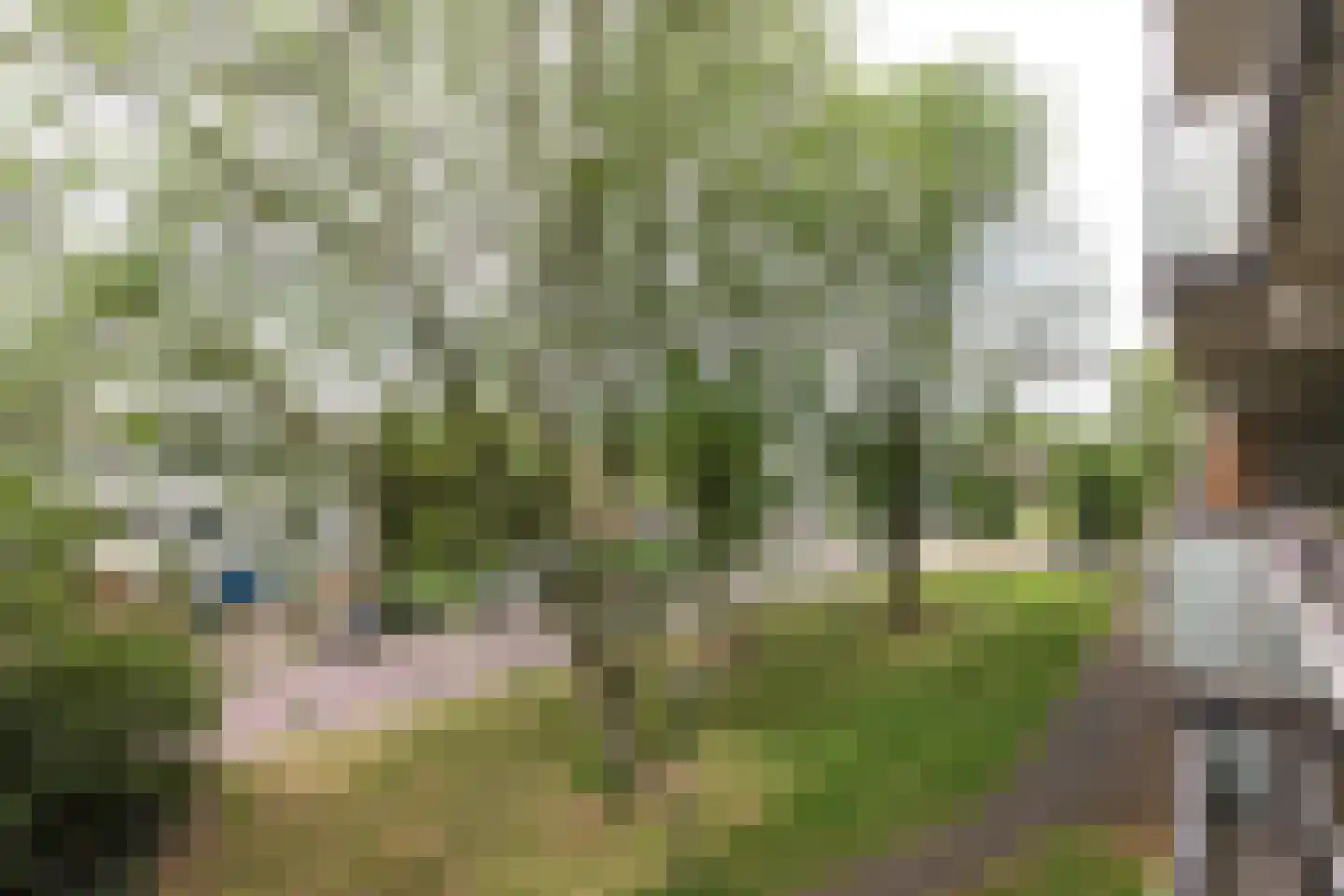 Arendshorst 34 Leiden thumbnail 24
