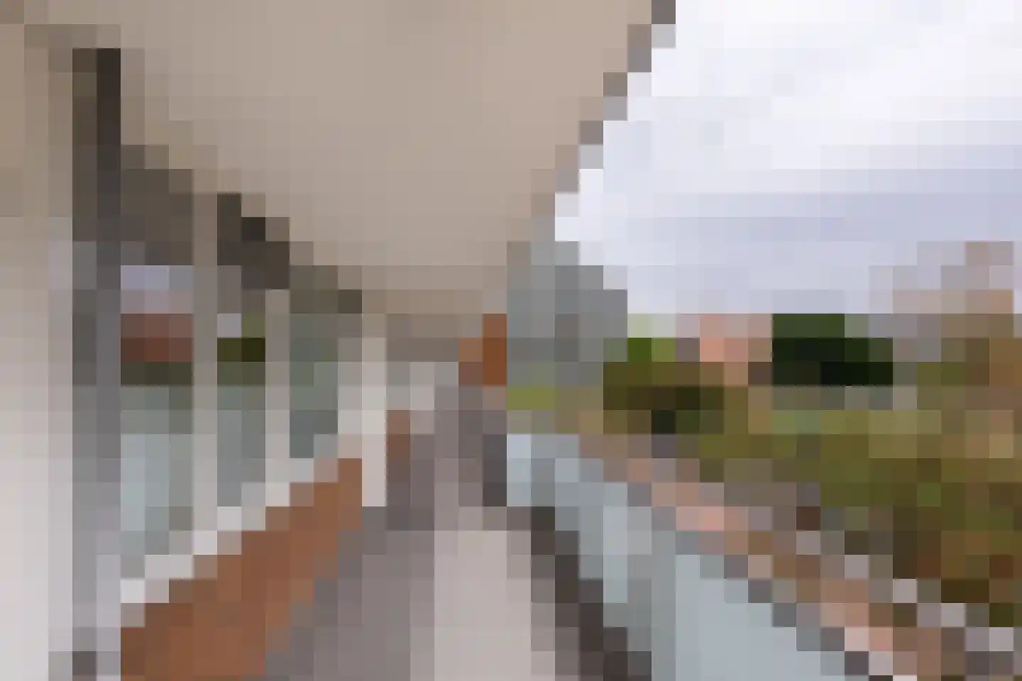 Arendshorst 34 Leiden thumbnail 26