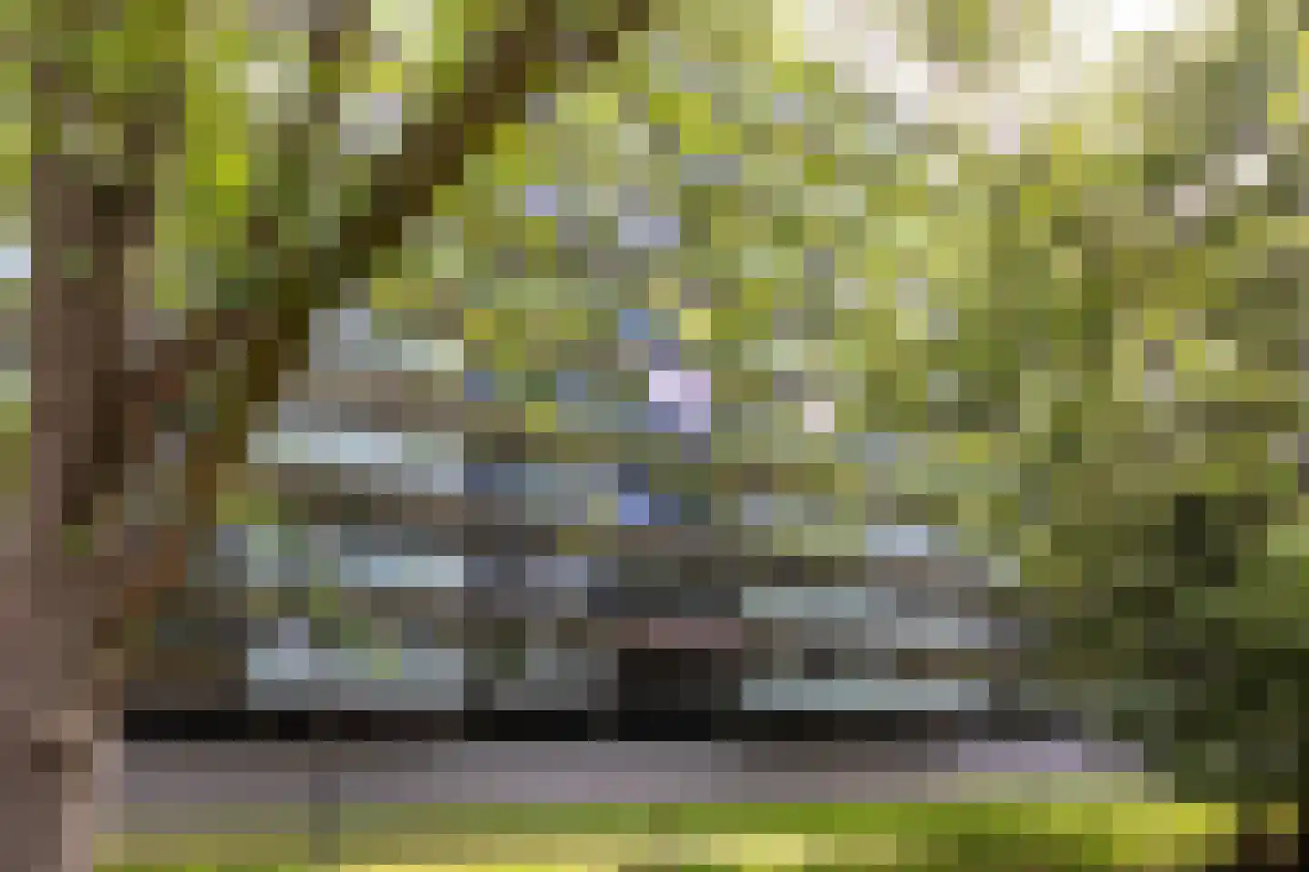Arendshorst 34 Leiden thumbnail 27
