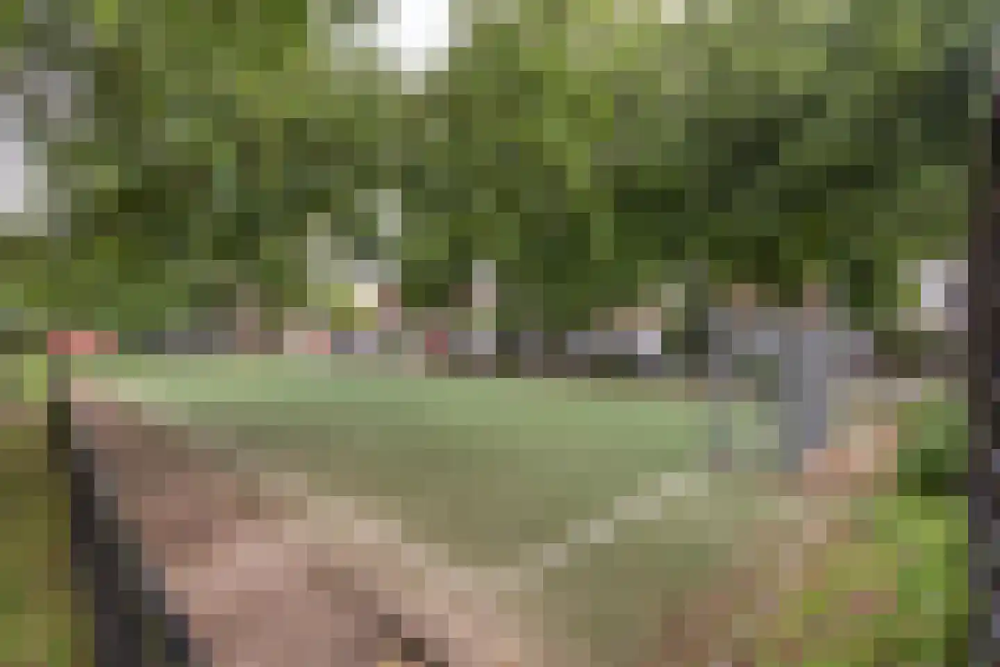 Arendshorst 34 Leiden thumbnail 33