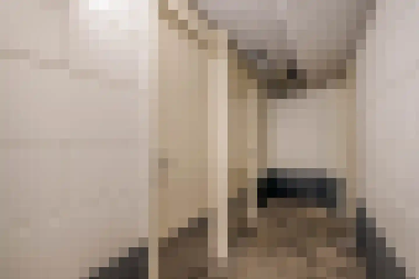 Arendshorst 35 Honselersdijk thumbnail 25