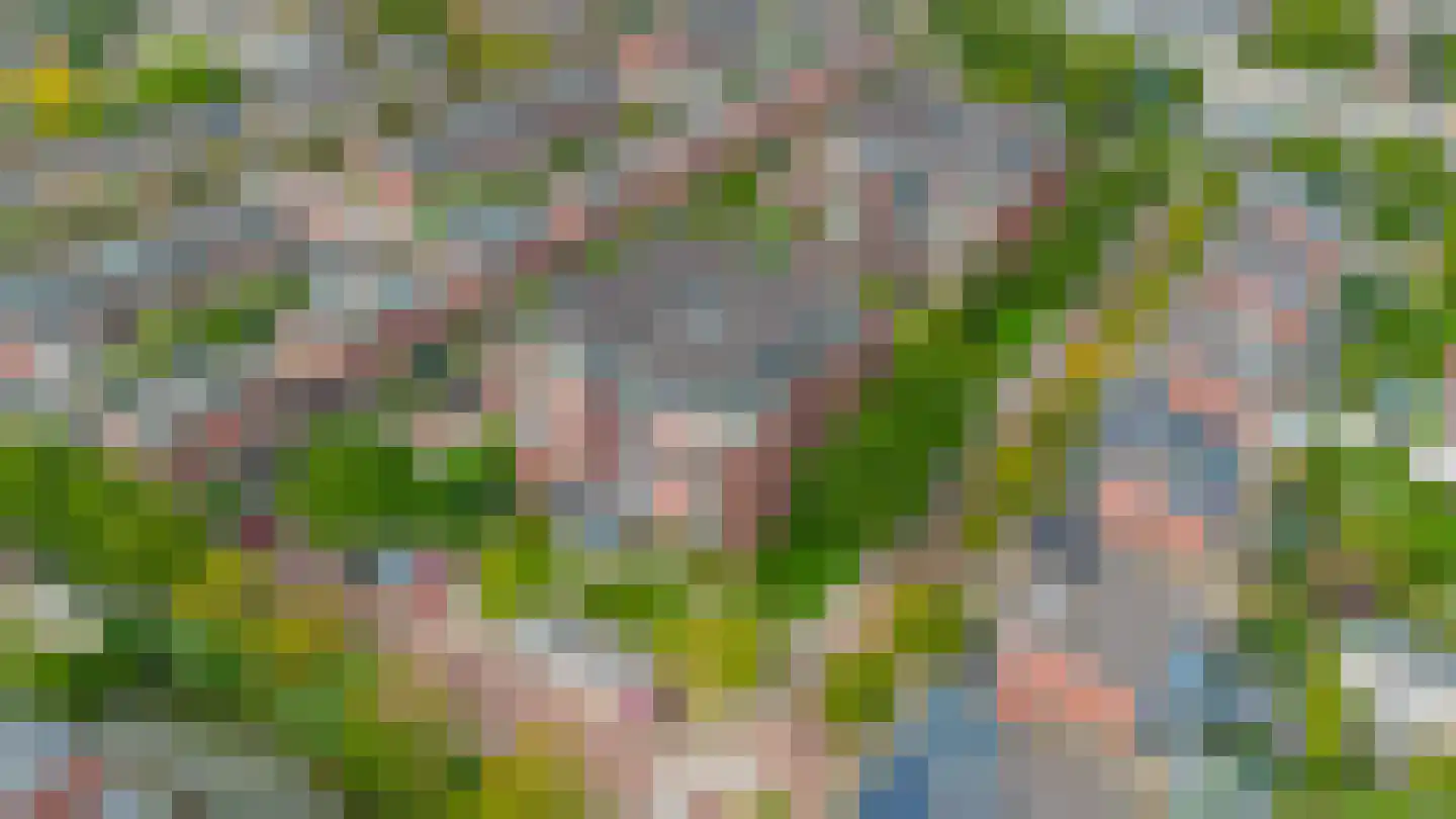 Arendshorst 35 Honselersdijk thumbnail 36