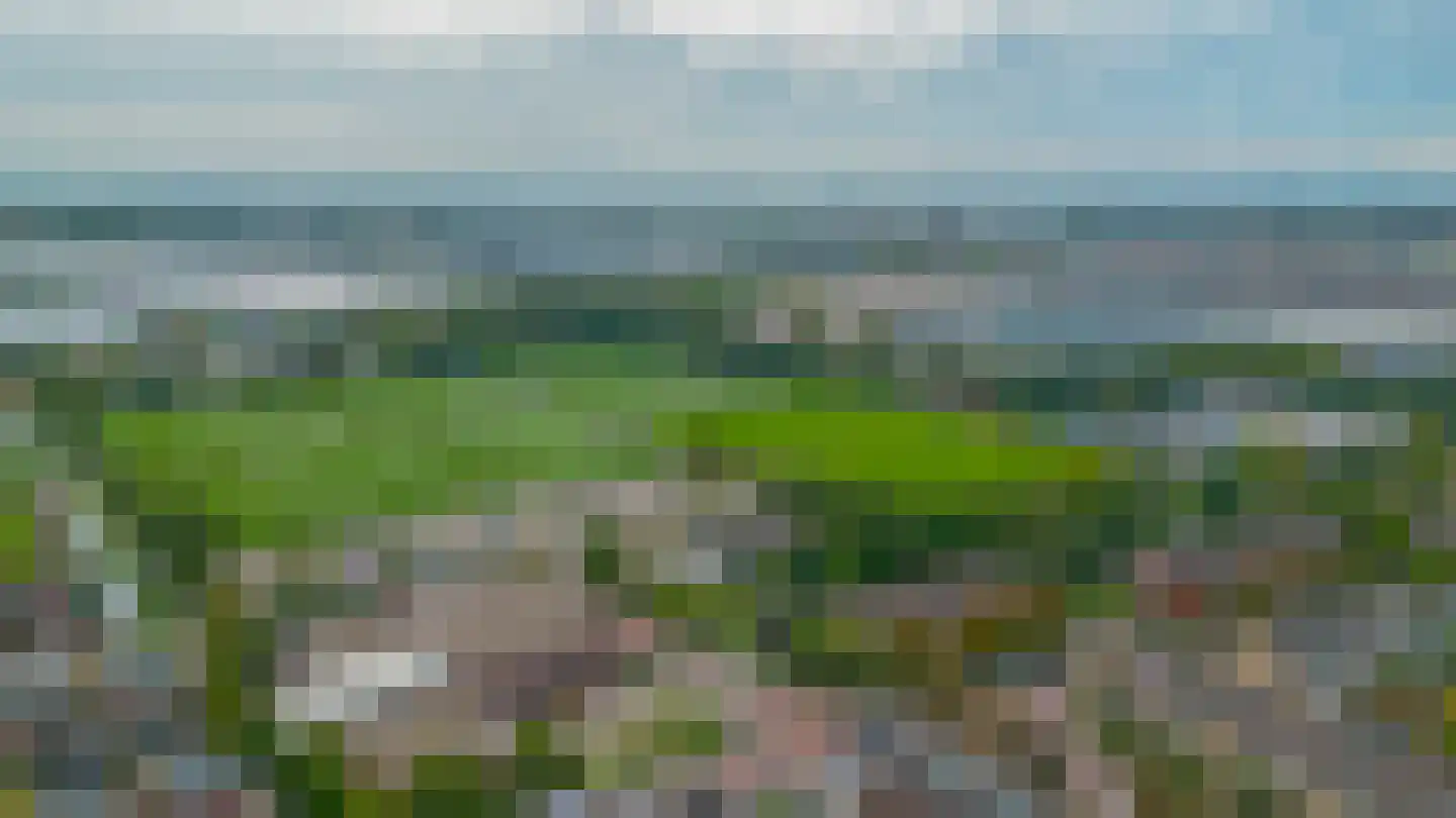 Arendshorst 35 Honselersdijk thumbnail 37