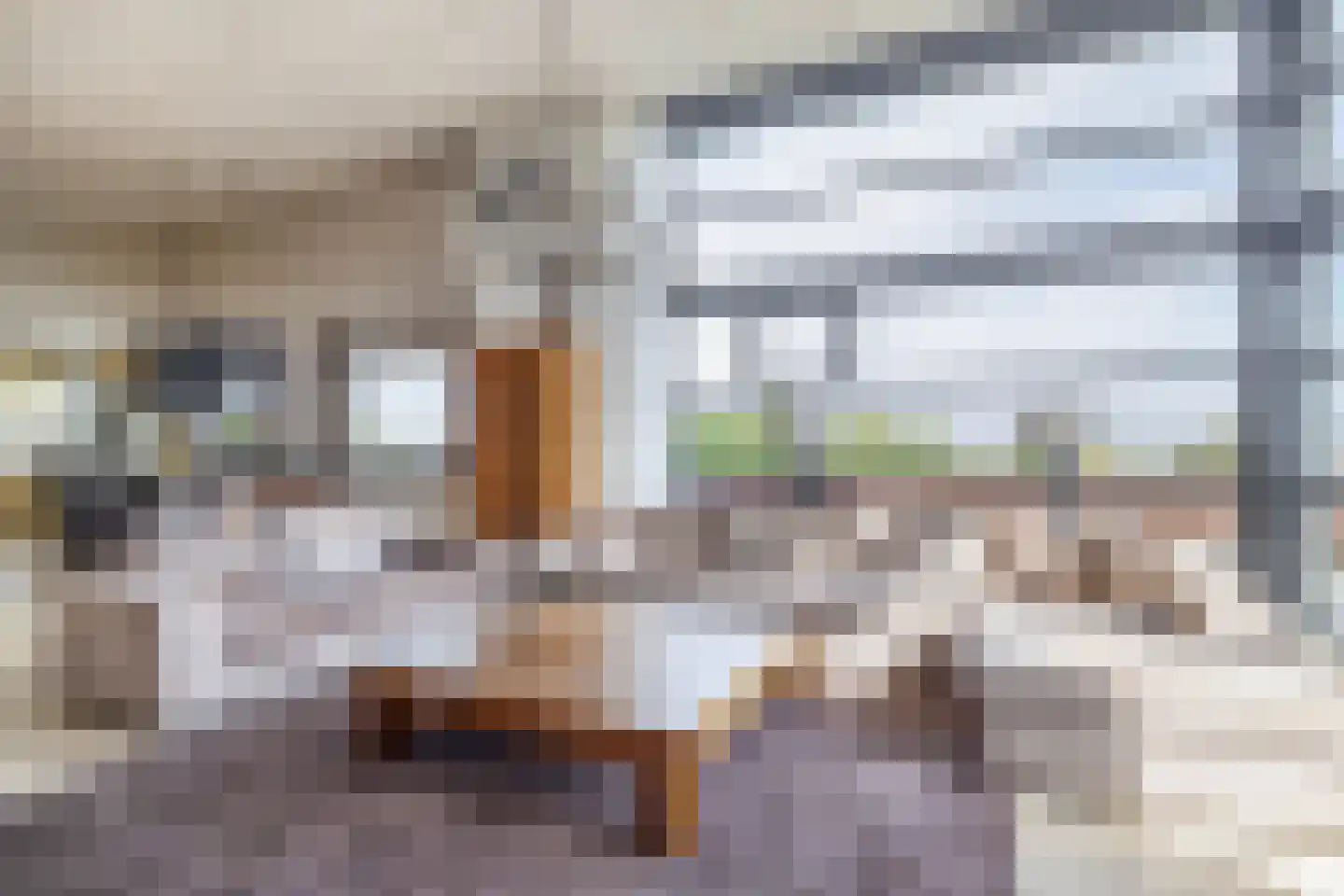 Arendshorst 35 Honselersdijk thumbnail 4