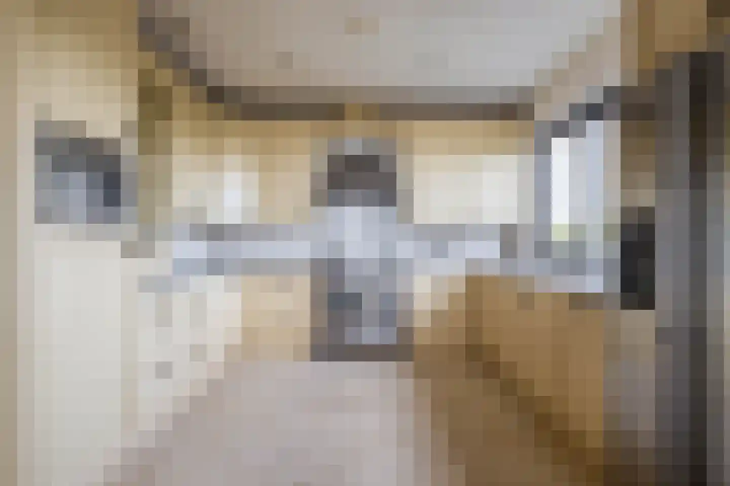 Arendshorst 35 Honselersdijk thumbnail 5