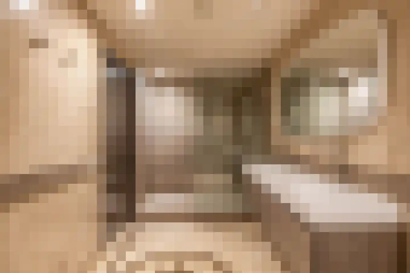 Arendshorst 35 Honselersdijk thumbnail 6