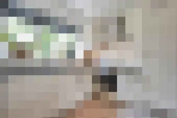 Arendshorst 39 Raalte thumbnail 18