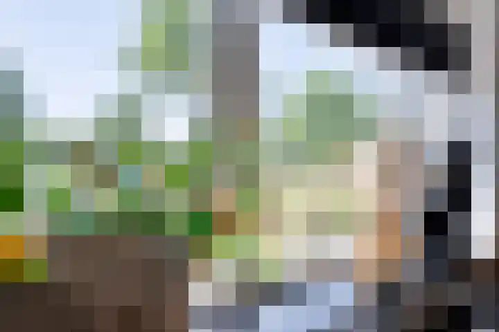 Arendshorst 39 Raalte thumbnail 19