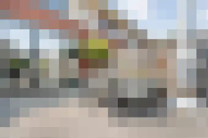 Arendshorst 39 Raalte thumbnail 38