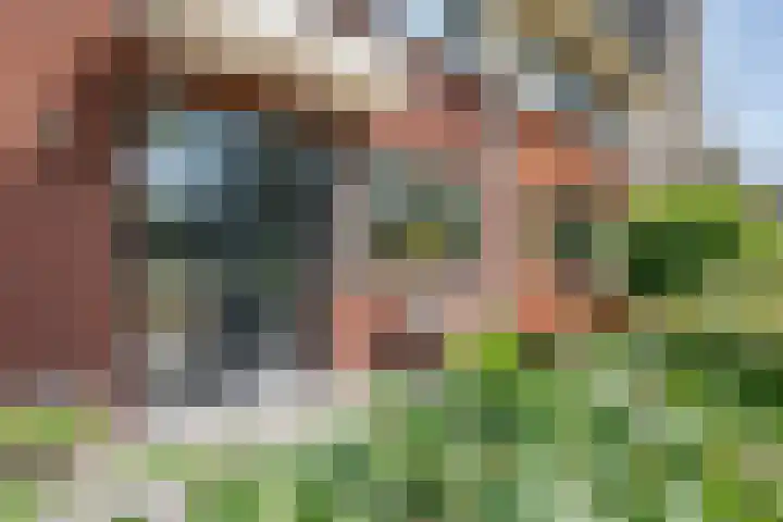 Arendshorst 39 Raalte thumbnail 4