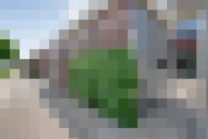 Arendshorst 39 Raalte thumbnail 42