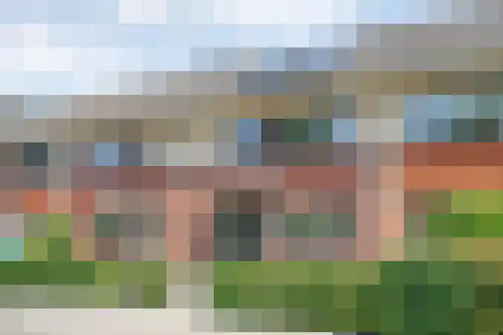 Arendshorst 39 Raalte thumbnail 5