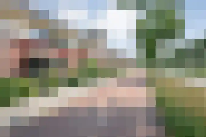 Arendshorst 39 Raalte thumbnail 7