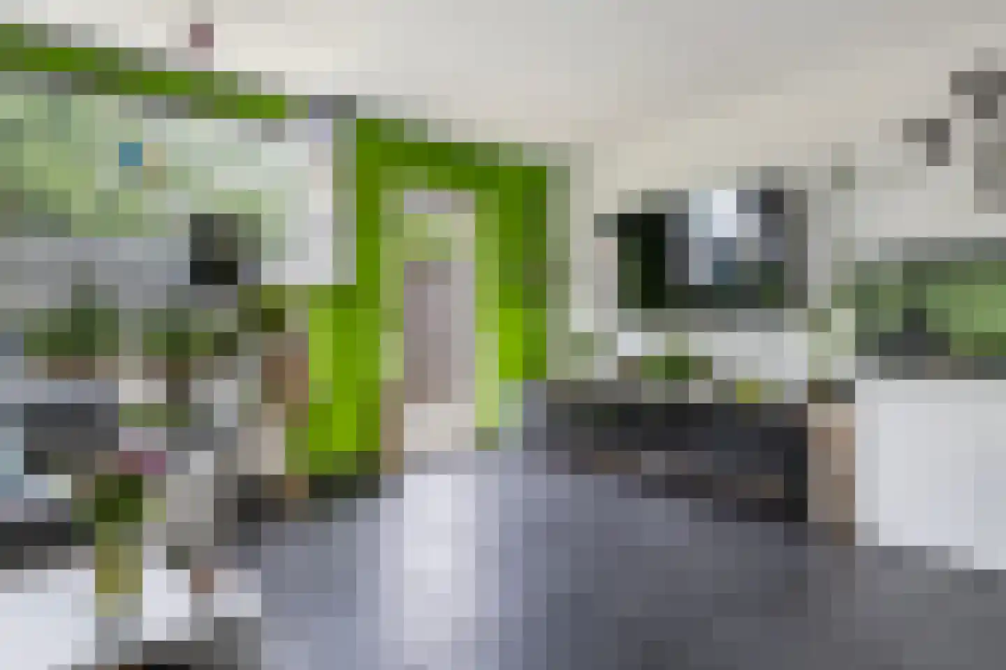 Arendshorst 4 Barneveld thumbnail 11