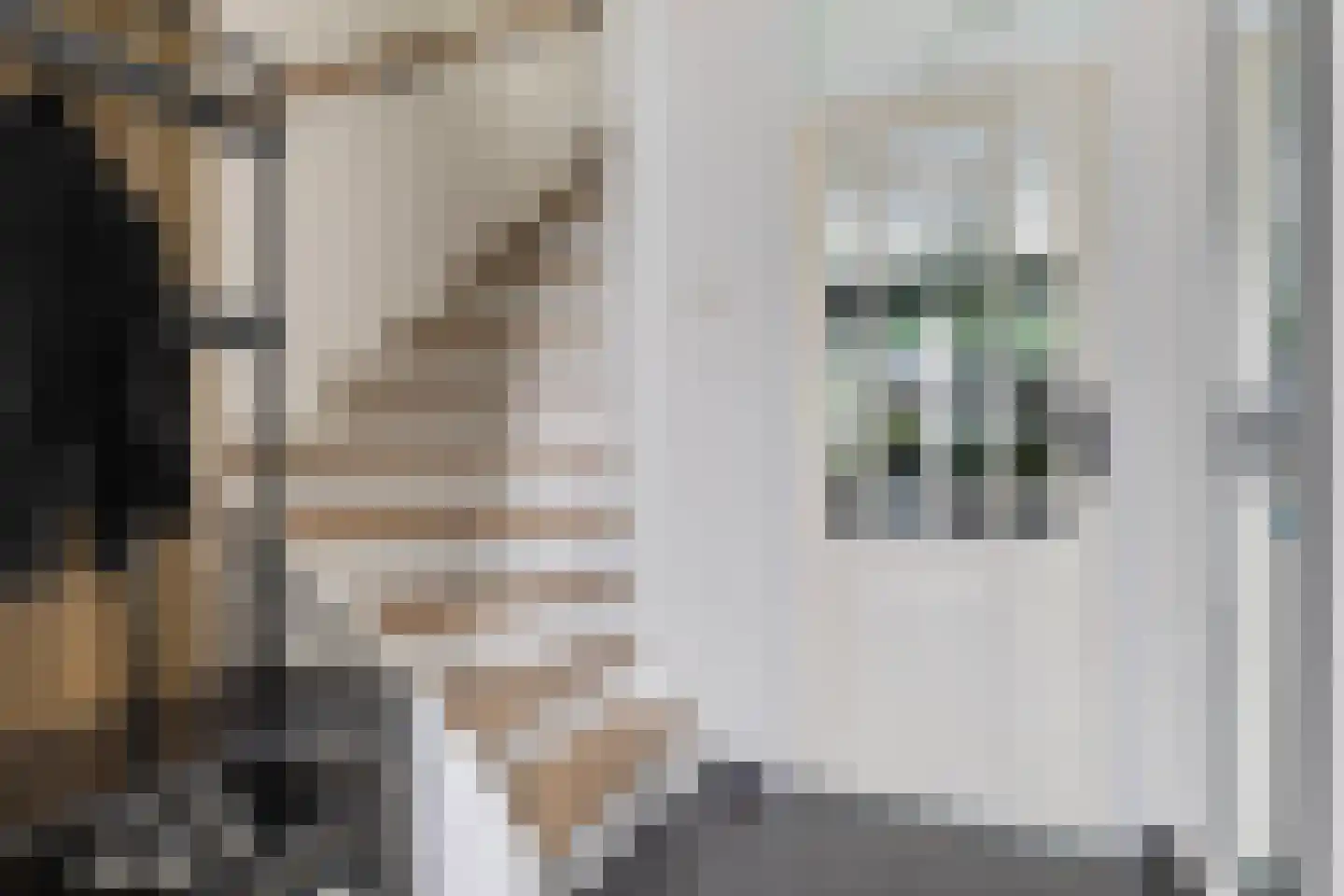 Arendshorst 4 Barneveld thumbnail 17