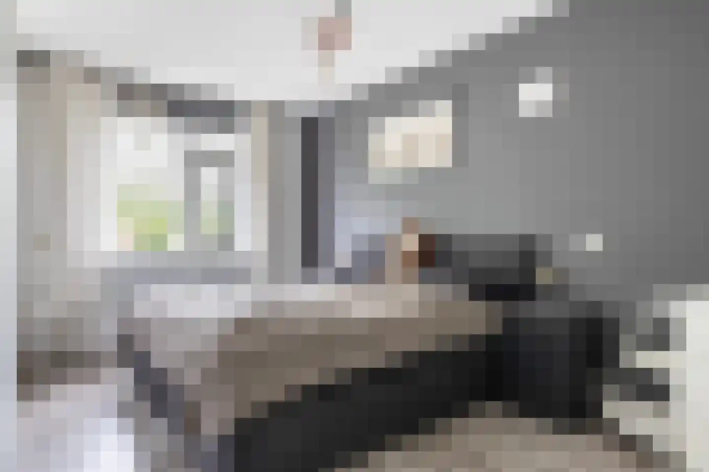 Arendshorst 4 Barneveld thumbnail 18