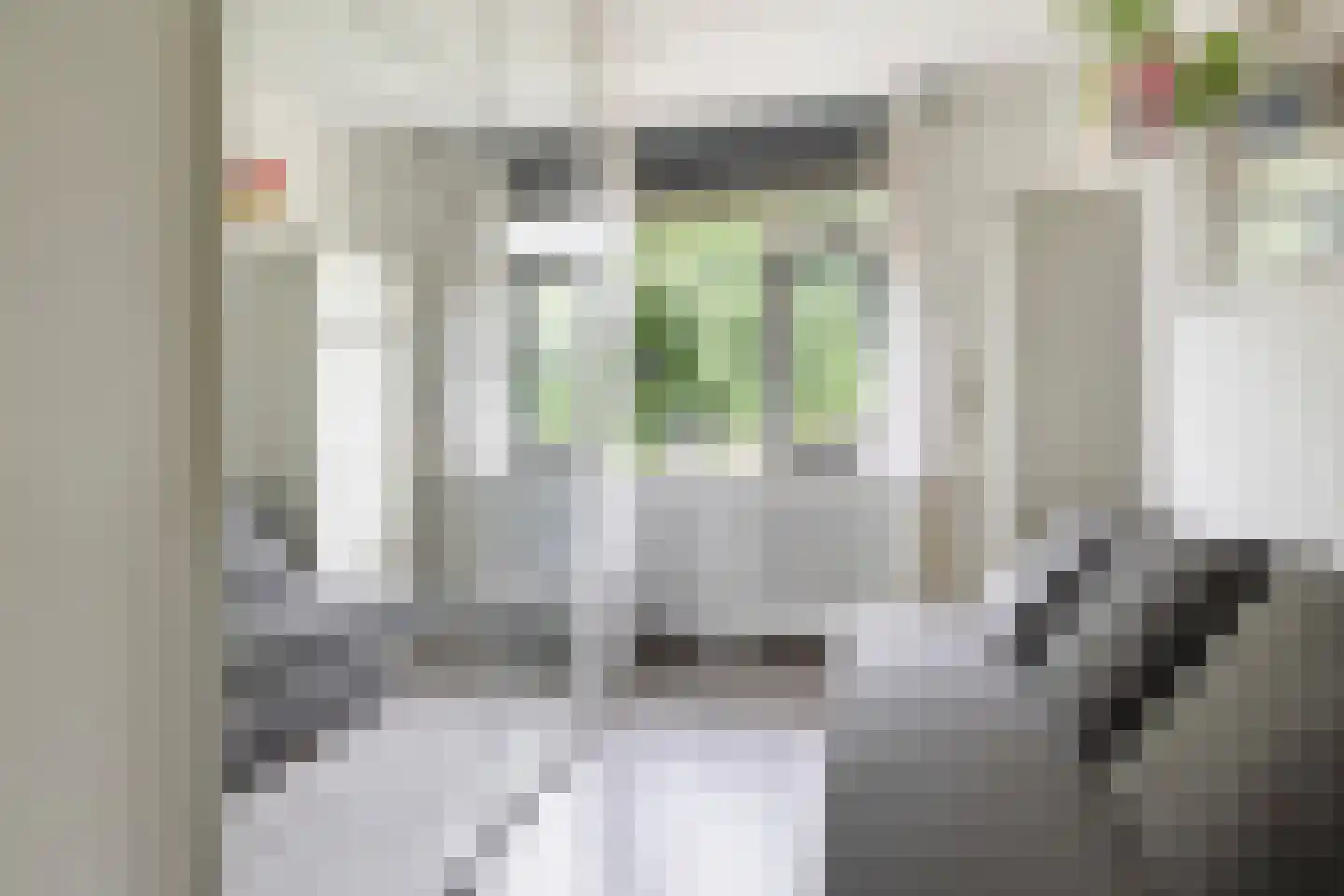 Arendshorst 4 Barneveld thumbnail 21