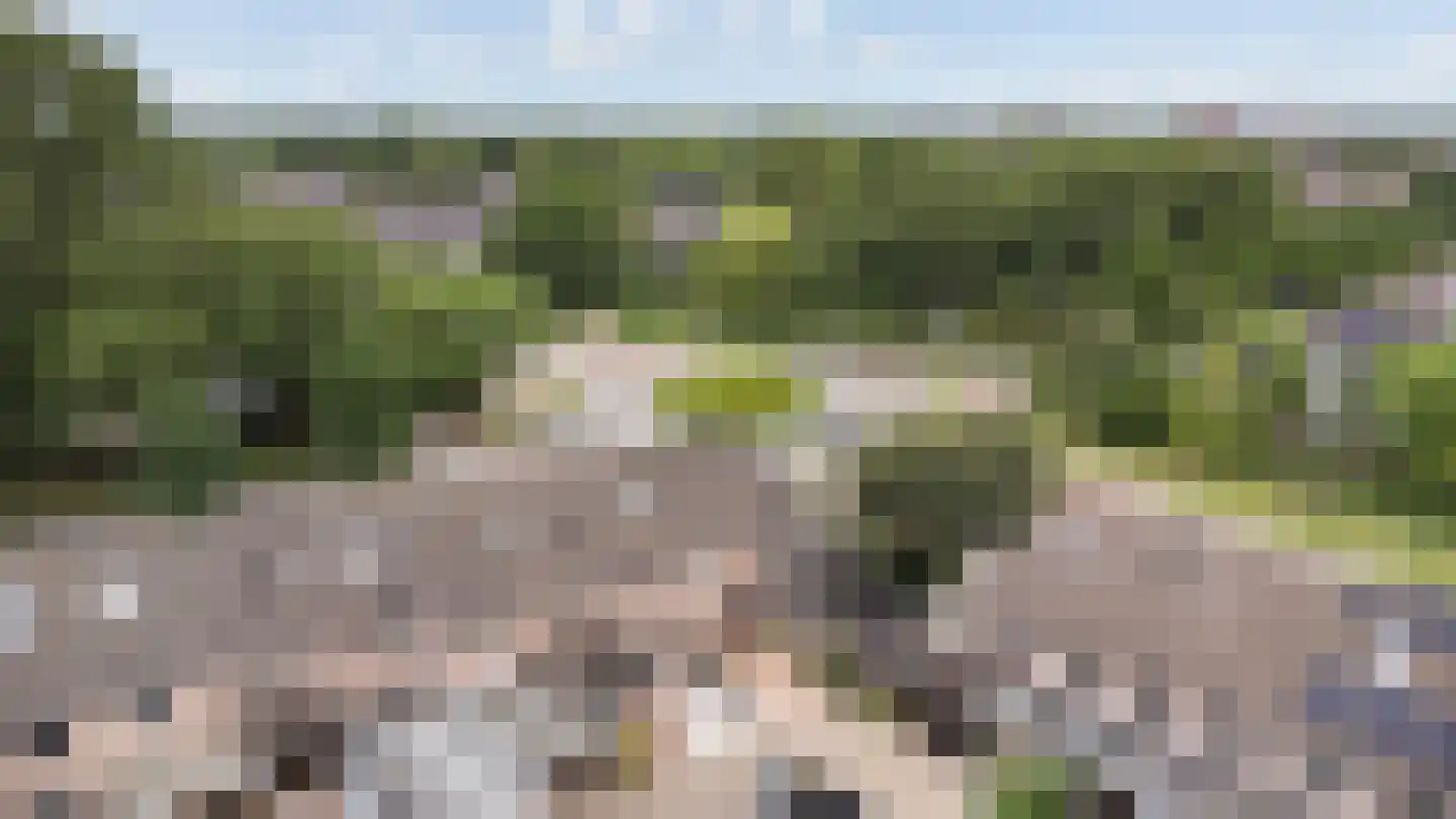 Arendshorst 4 Barneveld thumbnail 34