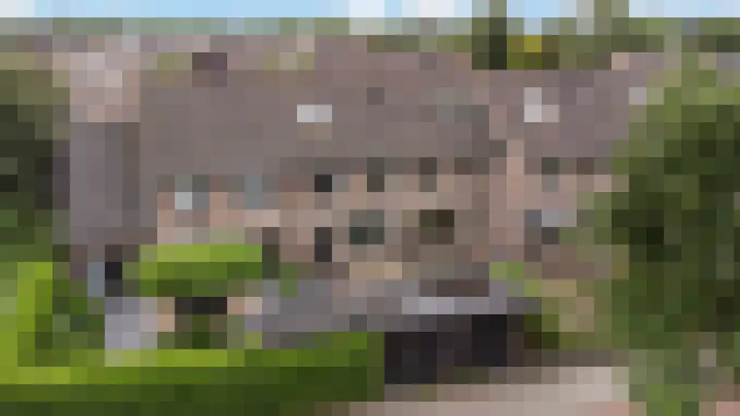 Arendshorst 4 Barneveld thumbnail 35