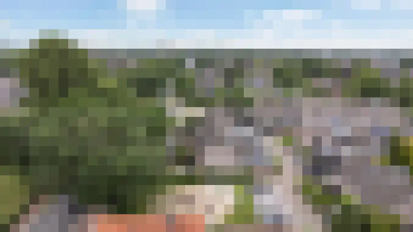 Arendshorst 4 Barneveld thumbnail 37