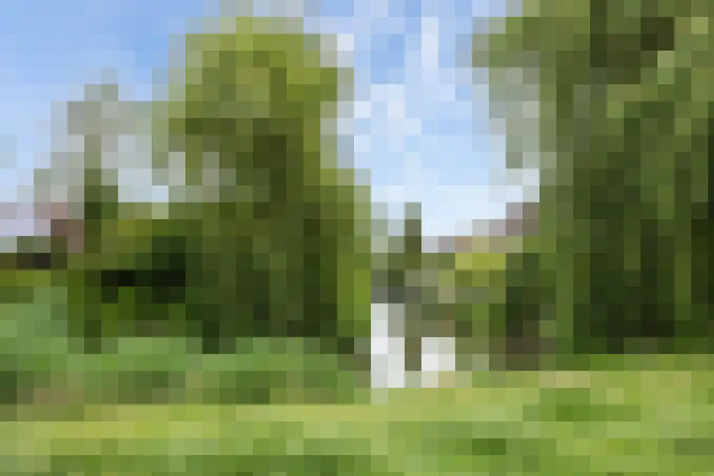 Arendshorst 4 Barneveld thumbnail 41