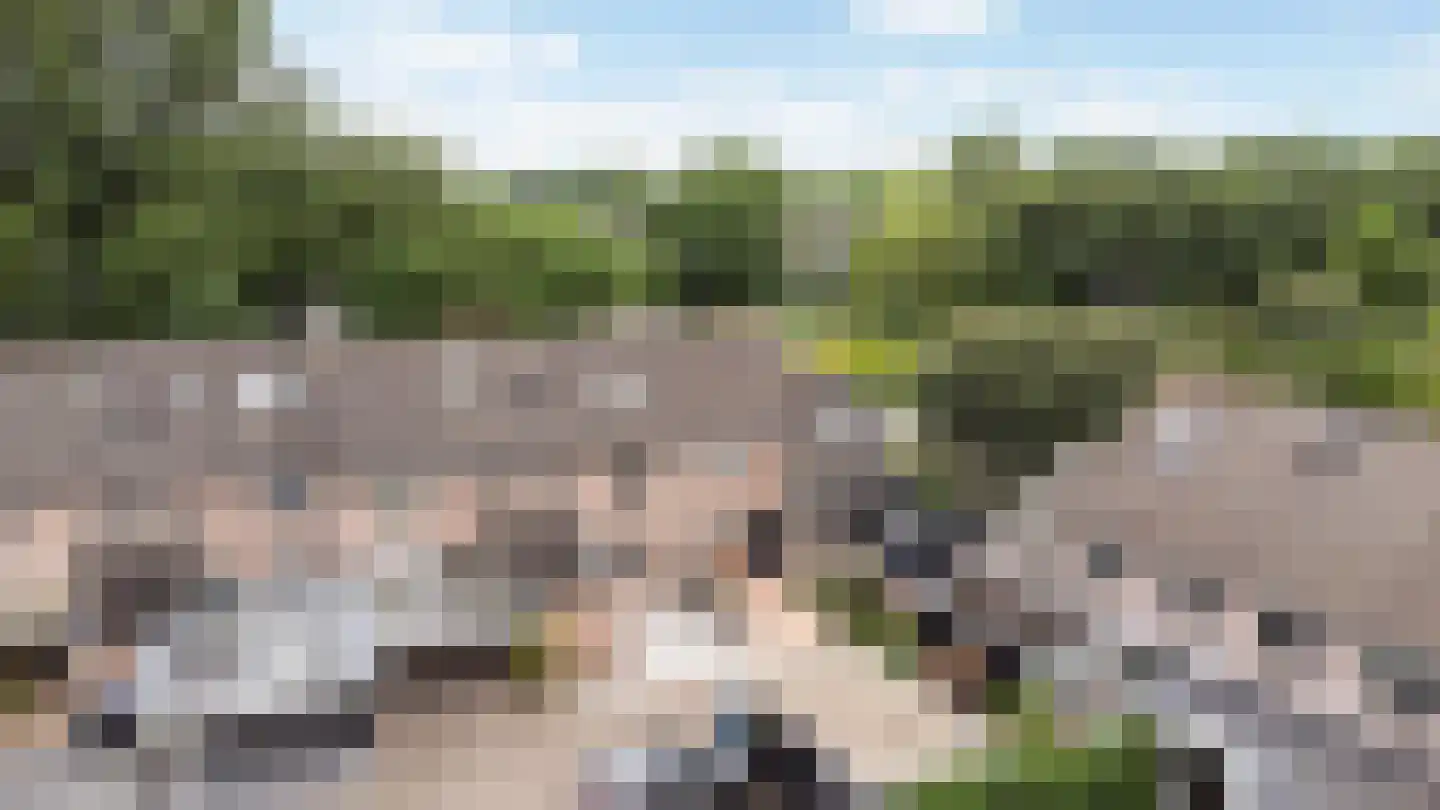 Arendshorst 4 Barneveld thumbnail 7