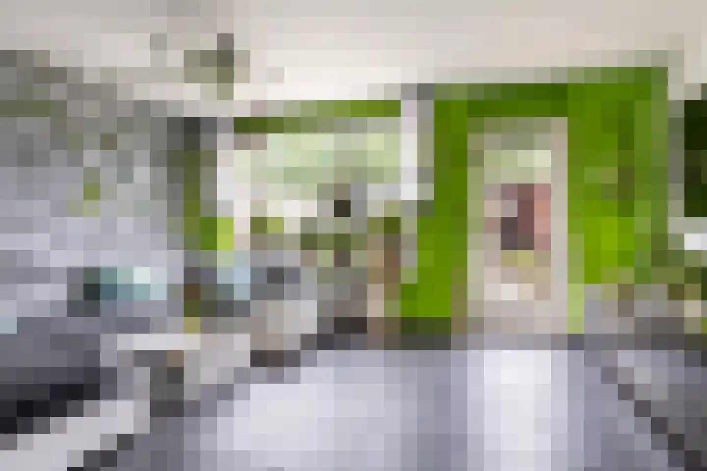 Arendshorst 4 Barneveld thumbnail 8