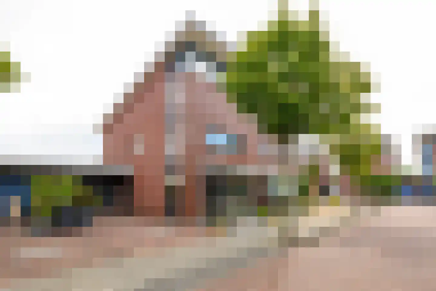 Arendshorst 4 Honselersdijk