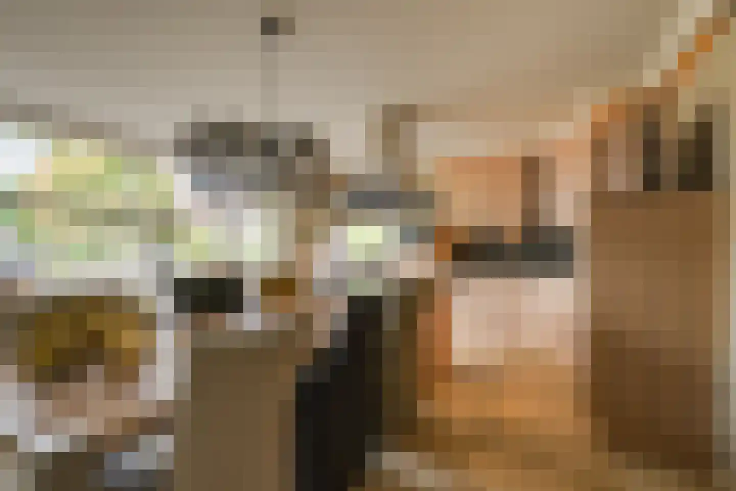 Arendshorst 4 Honselersdijk thumbnail 10
