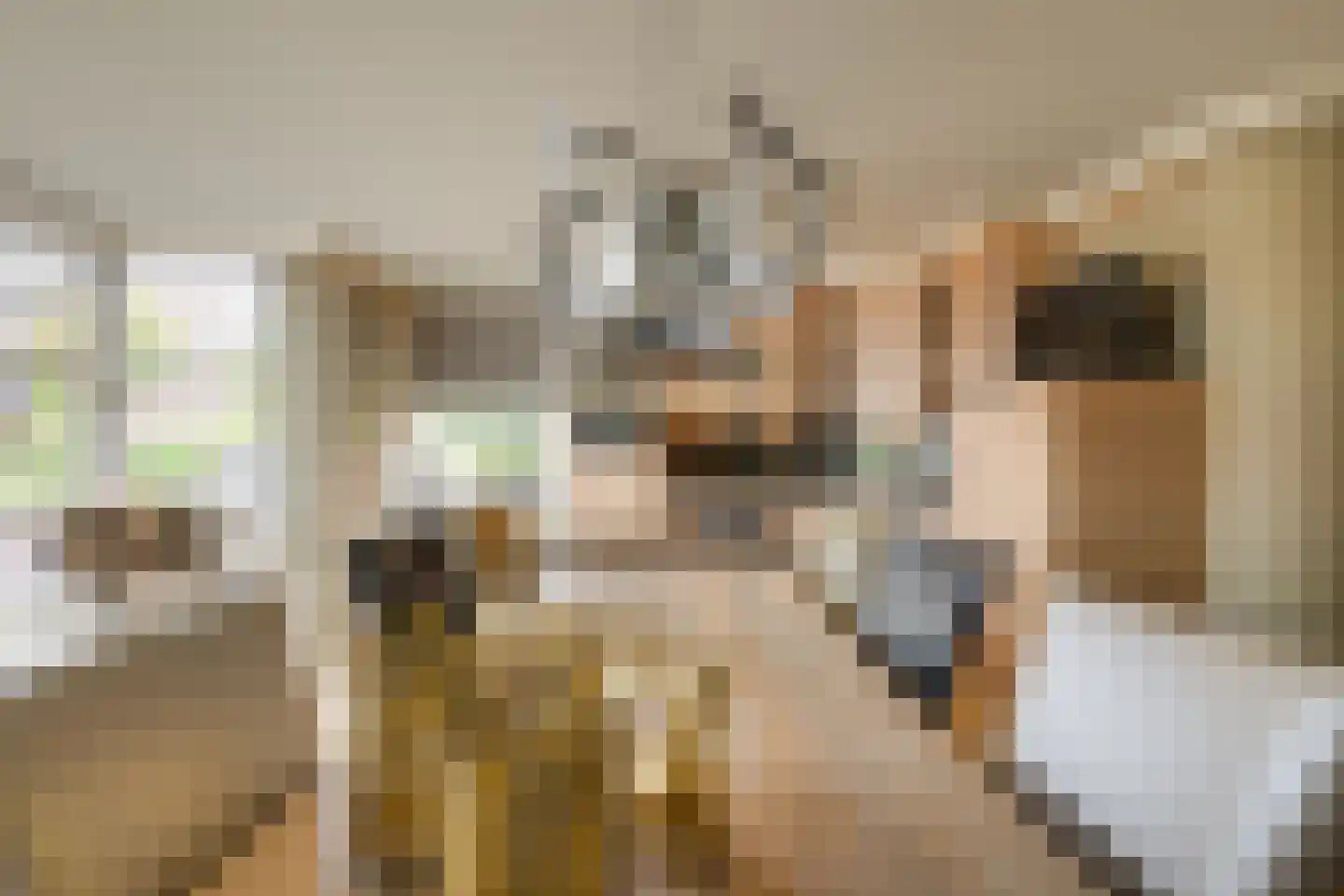 Arendshorst 4 Honselersdijk thumbnail 11