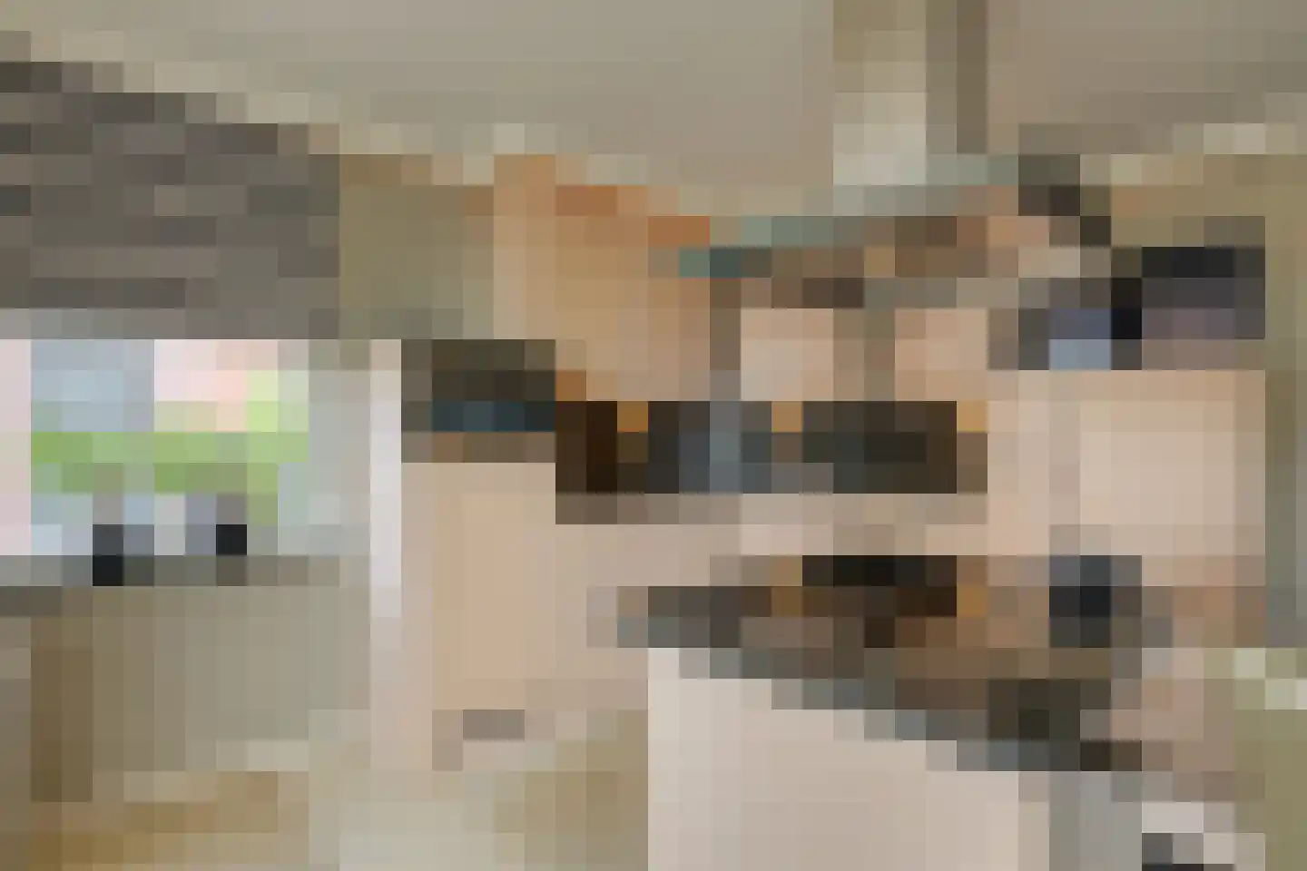 Arendshorst 4 Honselersdijk thumbnail 12