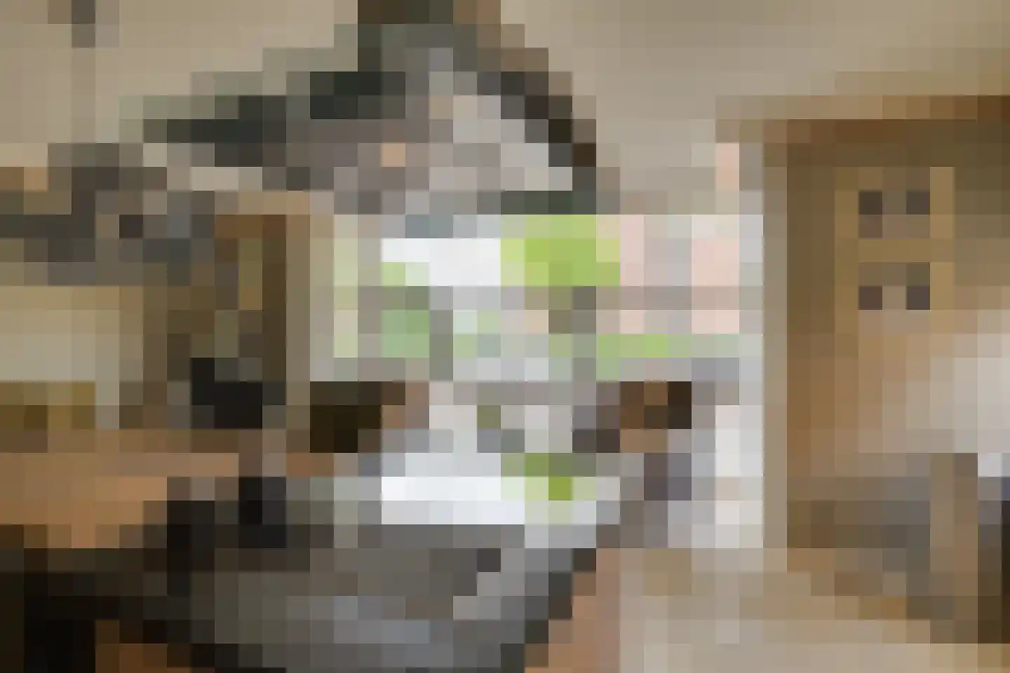 Arendshorst 4 Honselersdijk thumbnail 13