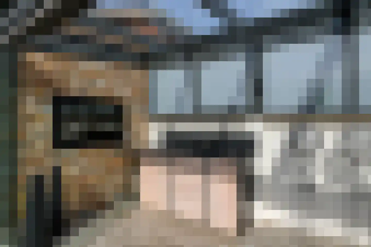 Arendshorst 4 Honselersdijk thumbnail 17