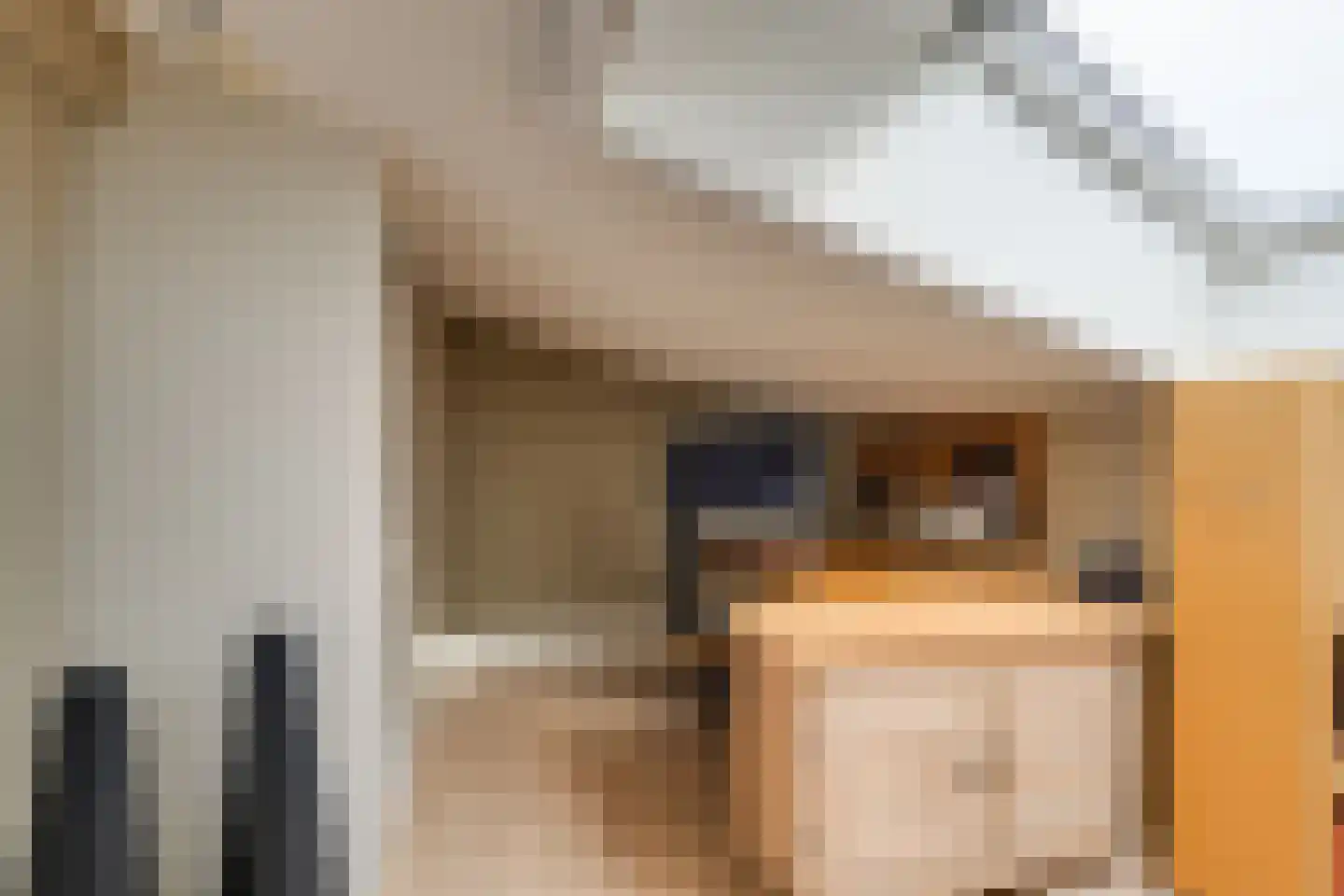 Arendshorst 4 Honselersdijk thumbnail 34