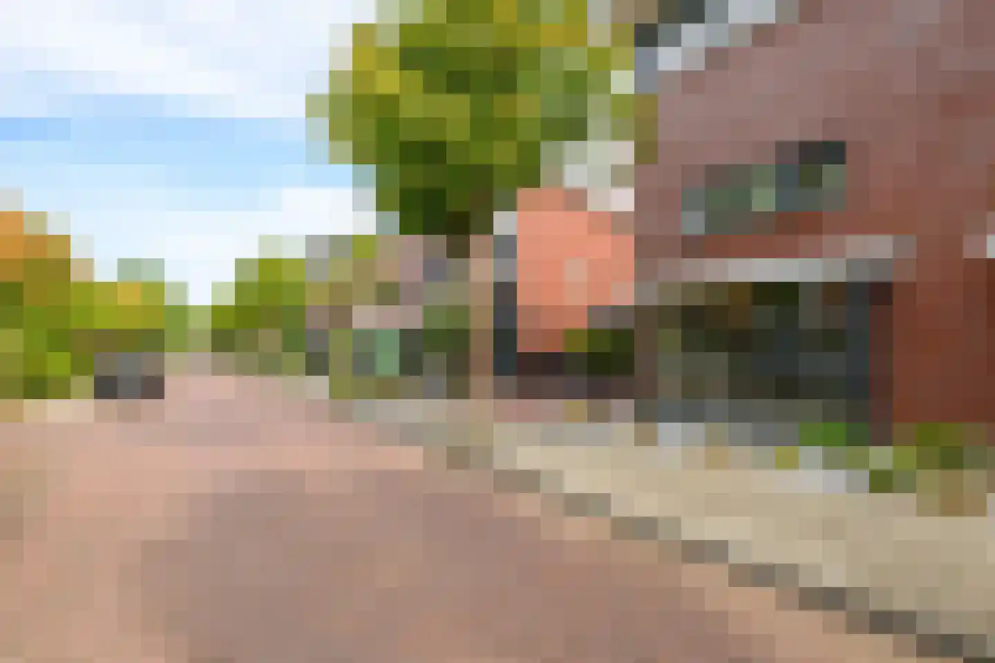 Arendshorst 4 Honselersdijk thumbnail 39