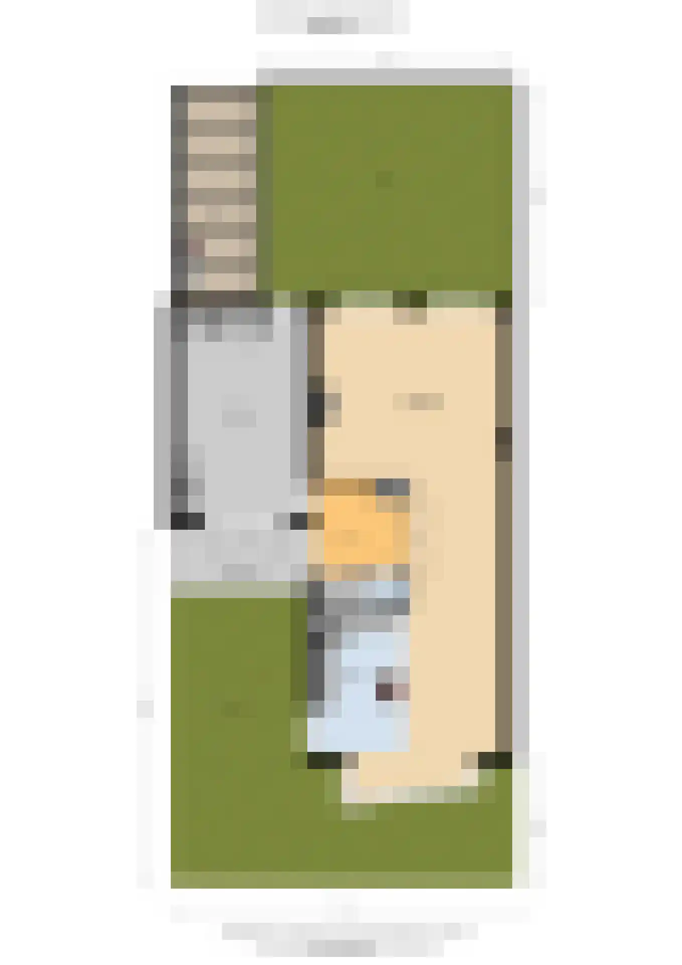 Arendshorst 4 Honselersdijk thumbnail 40
