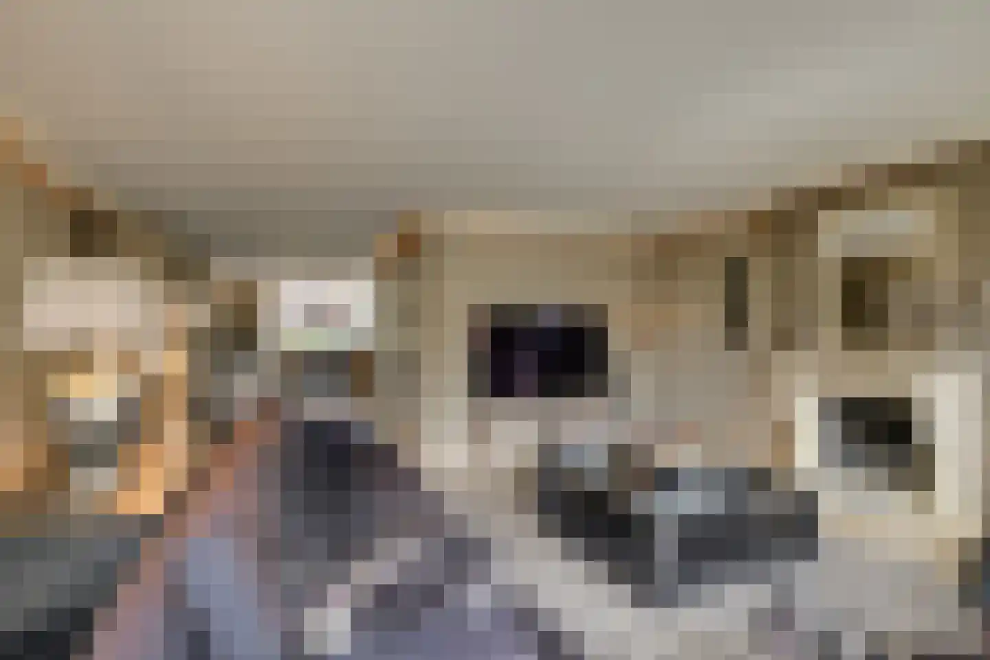 Arendshorst 4 Honselersdijk thumbnail 6