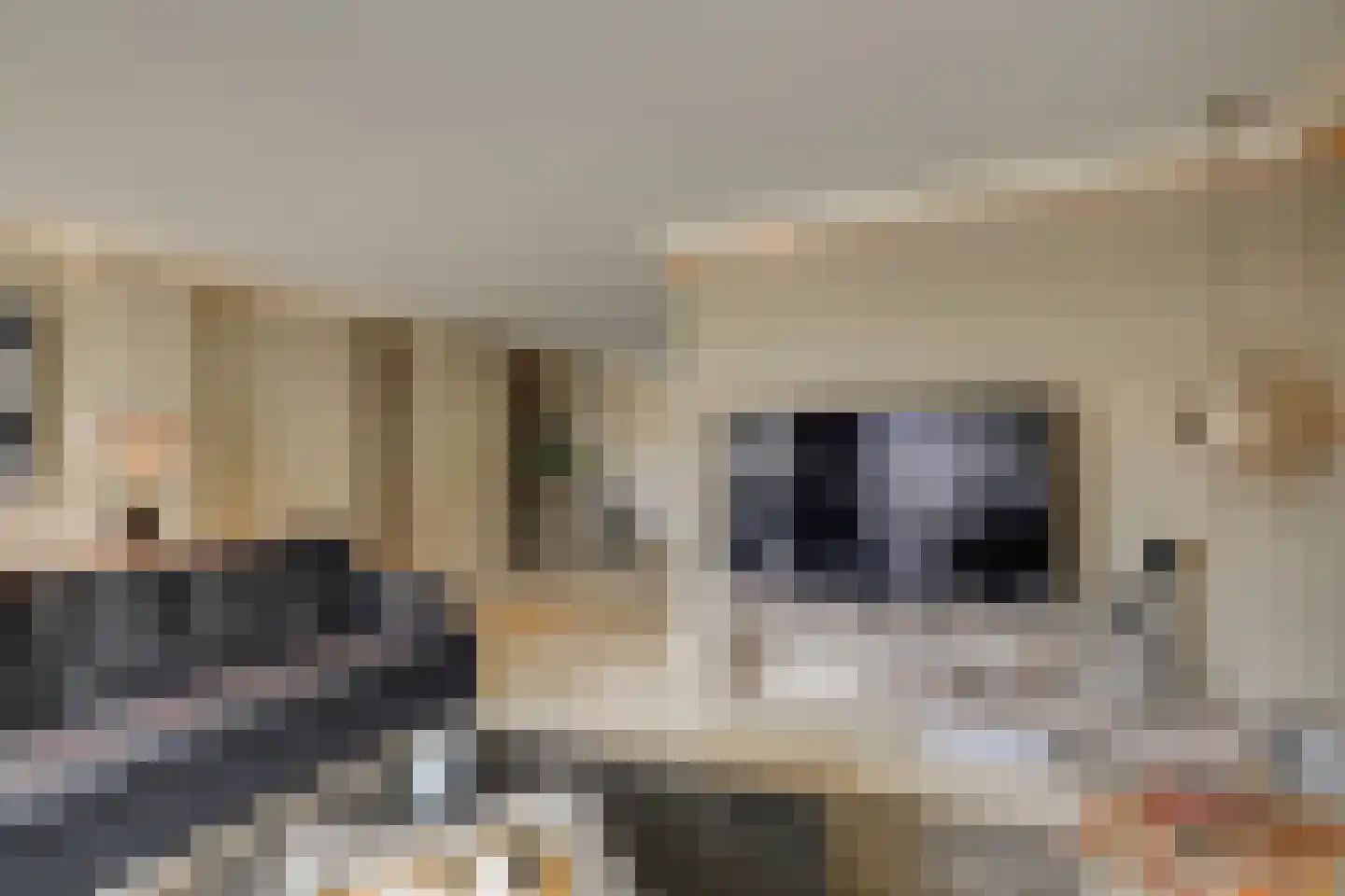 Arendshorst 4 Honselersdijk thumbnail 7