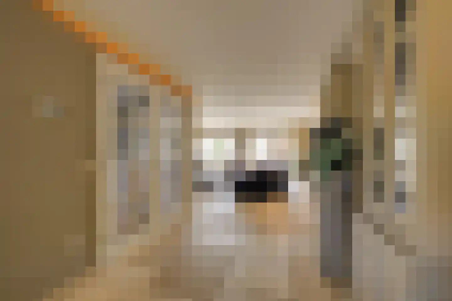 Arendshorst 4 Honselersdijk thumbnail 8