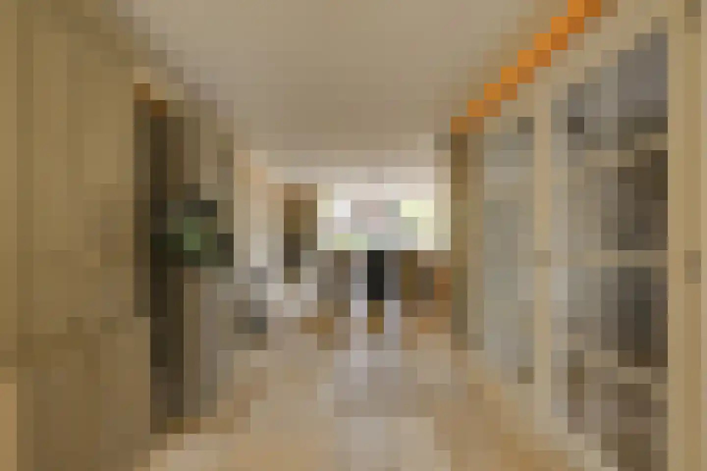 Arendshorst 4 Honselersdijk thumbnail 9