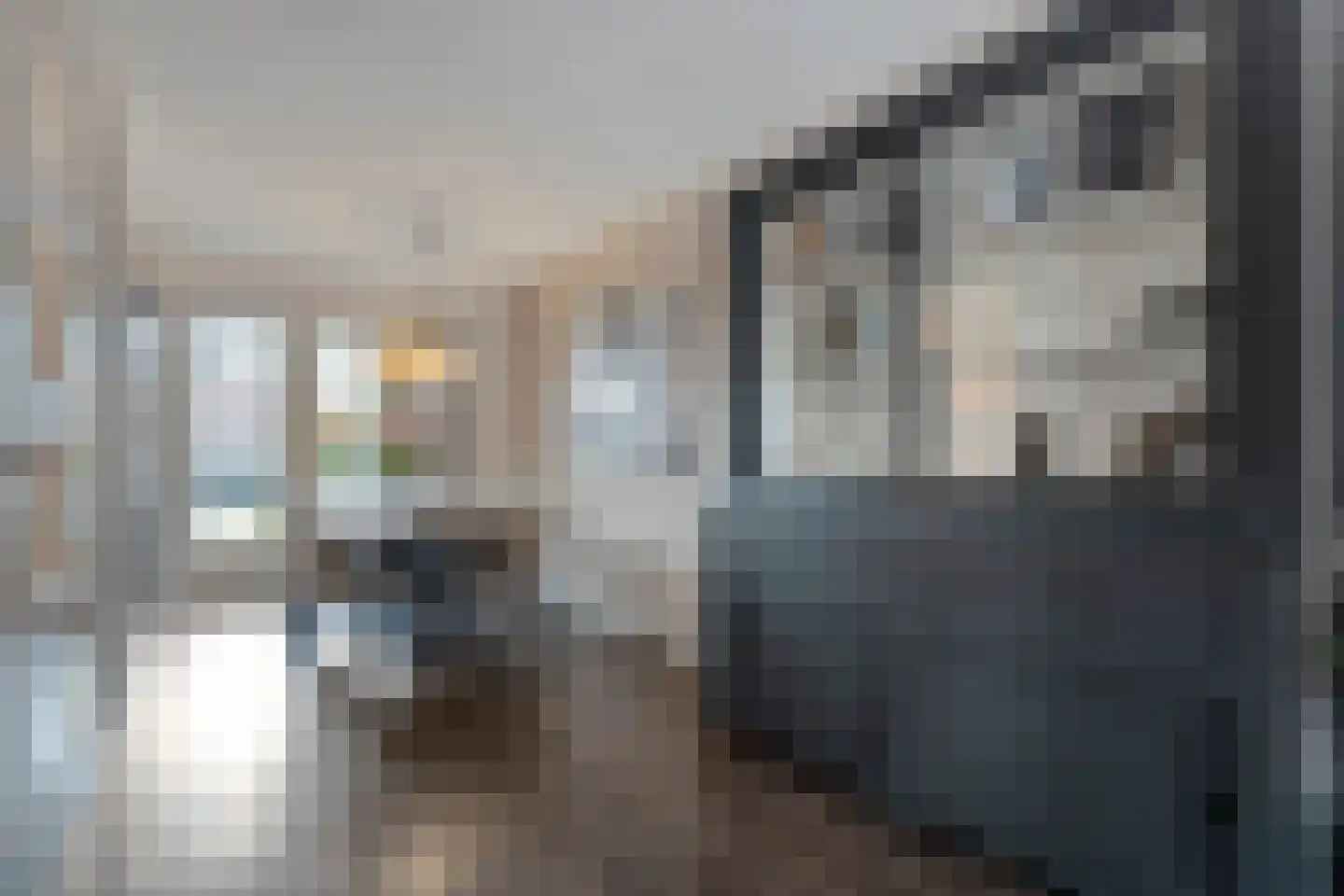 Arendshorst 40 Raalte thumbnail 11