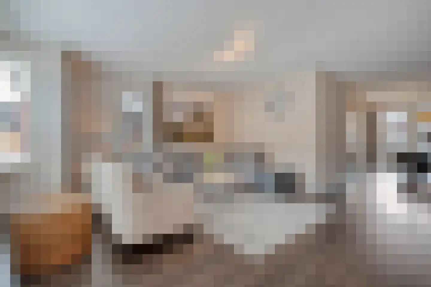 Arendshorst 40 Raalte thumbnail 13