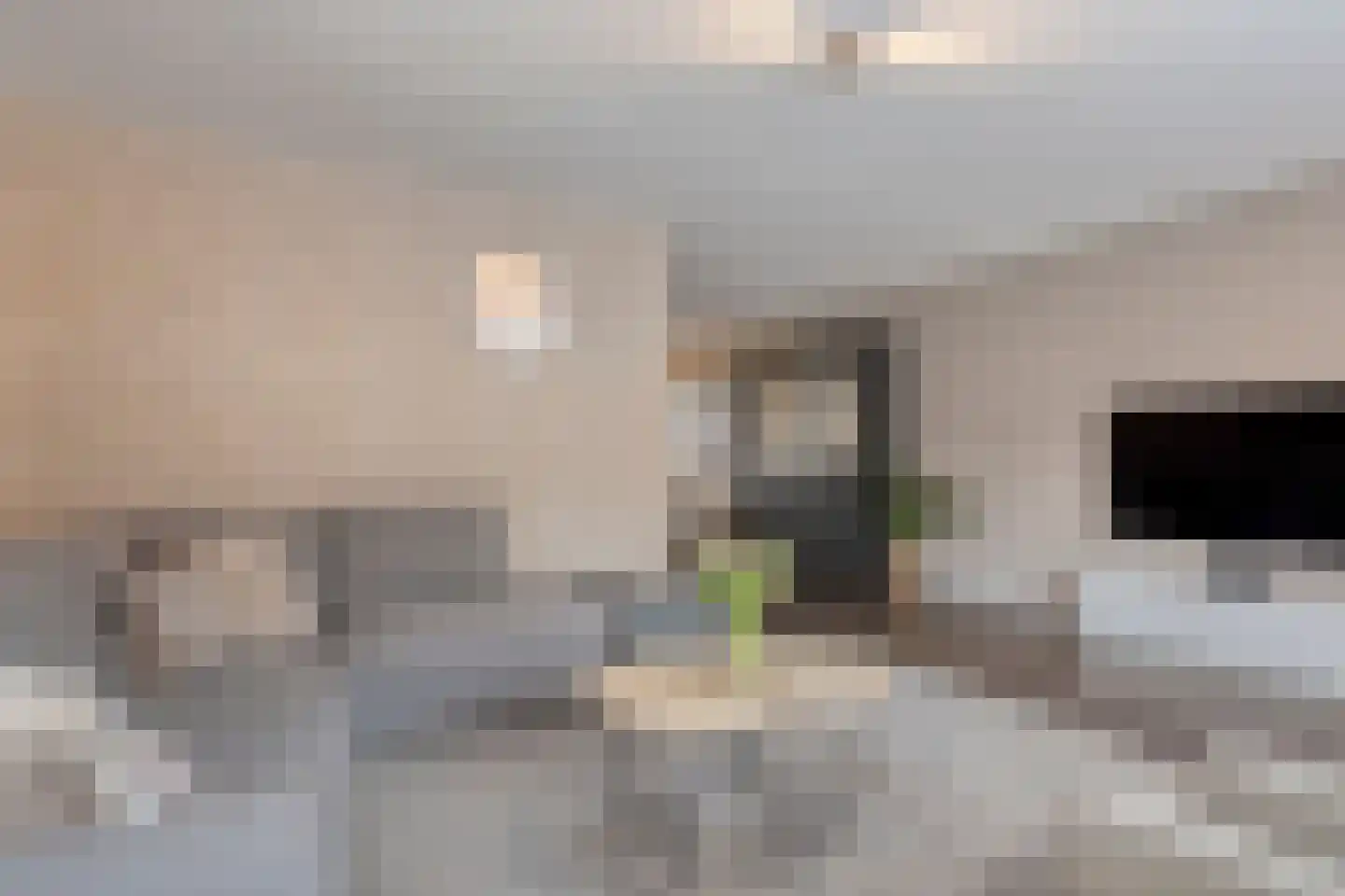 Arendshorst 40 Raalte thumbnail 14