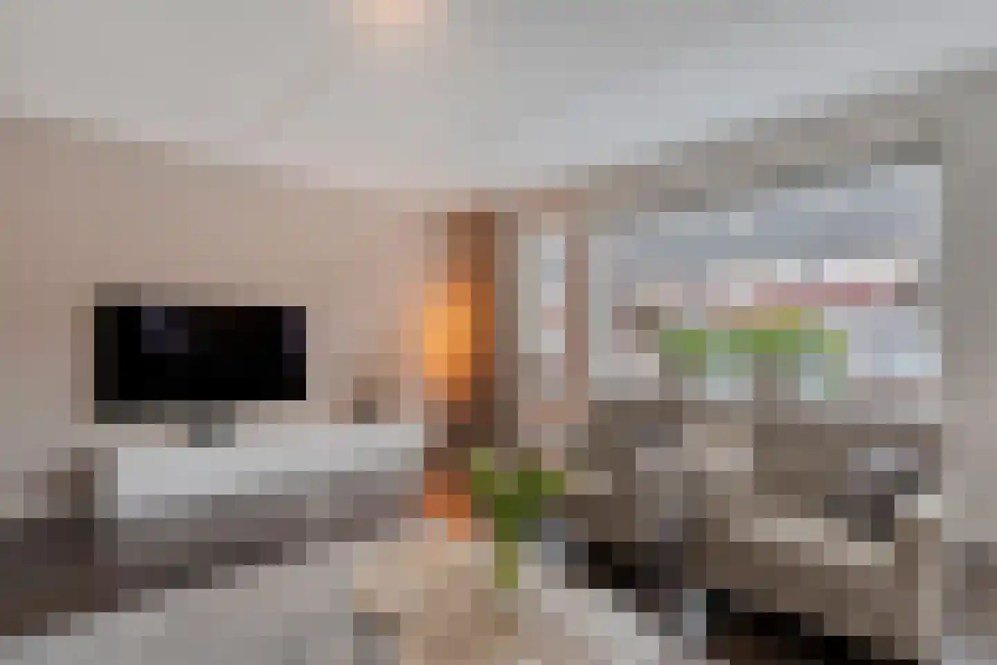Arendshorst 40 Raalte thumbnail 15