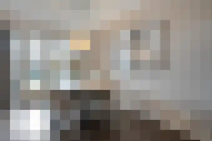 Arendshorst 40 Raalte thumbnail 17