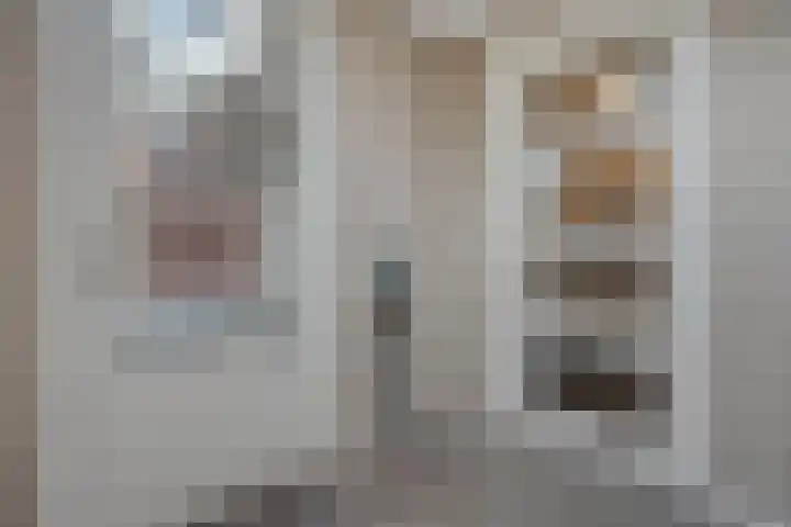 Arendshorst 40 Raalte thumbnail 24