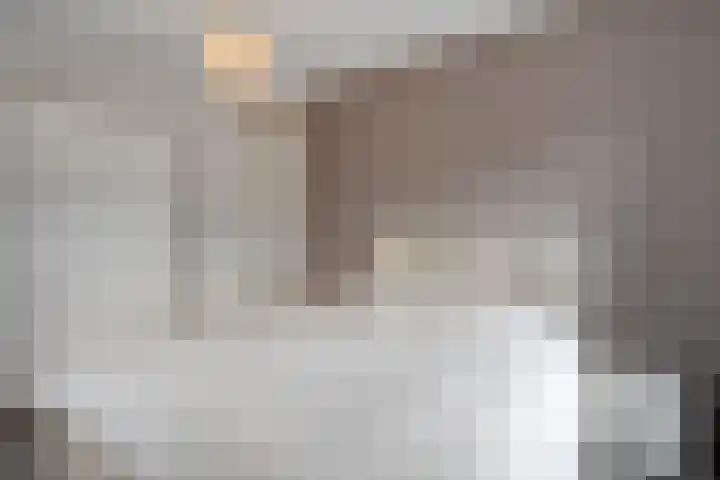 Arendshorst 40 Raalte thumbnail 28