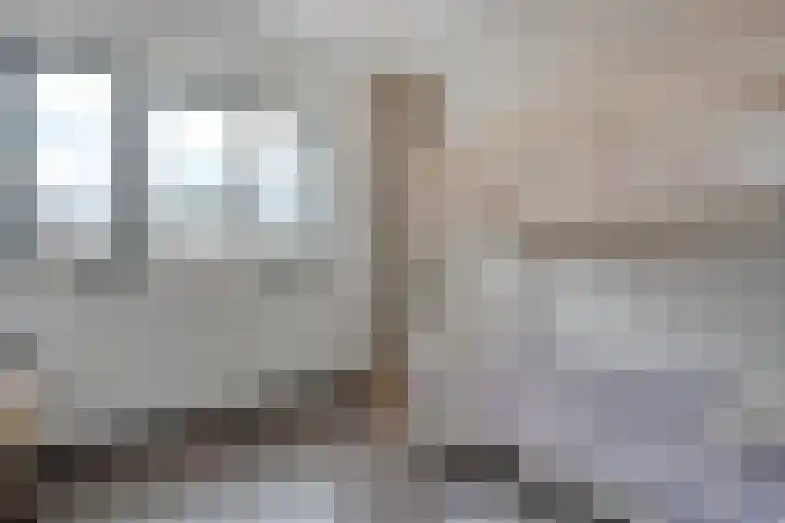 Arendshorst 40 Raalte thumbnail 30